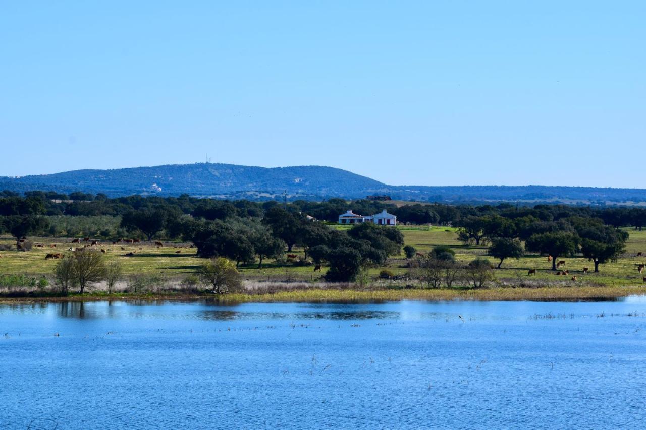 Herdade Da Burquilheira Family Retreat Alcáçovas Buitenkant foto
