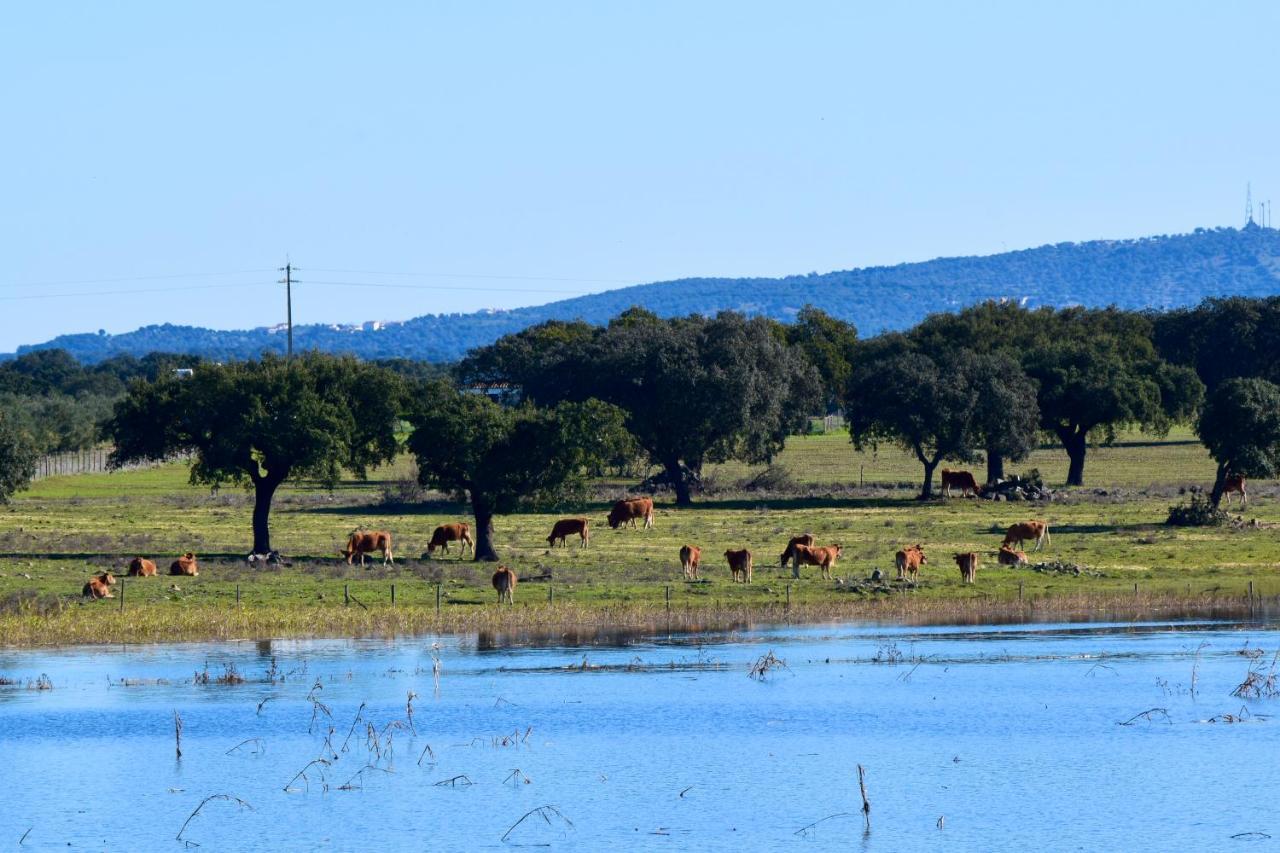Herdade Da Burquilheira Family Retreat Alcáçovas Buitenkant foto