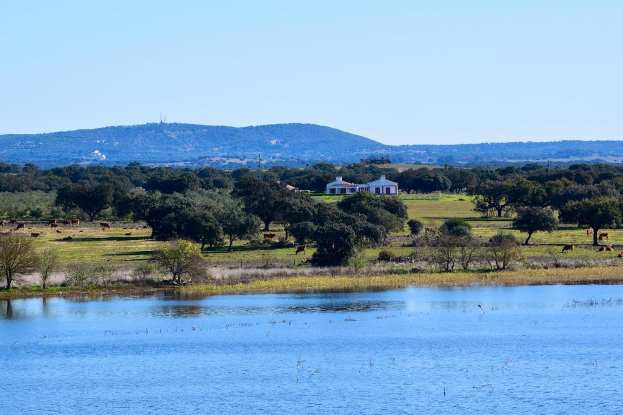 Herdade Da Burquilheira Family Retreat Alcáçovas Buitenkant foto