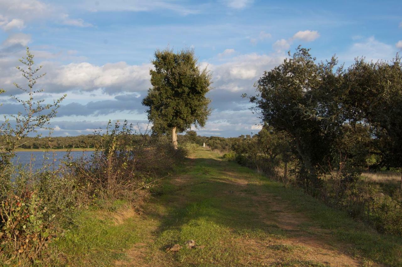 Herdade Da Burquilheira Family Retreat Alcáçovas Buitenkant foto