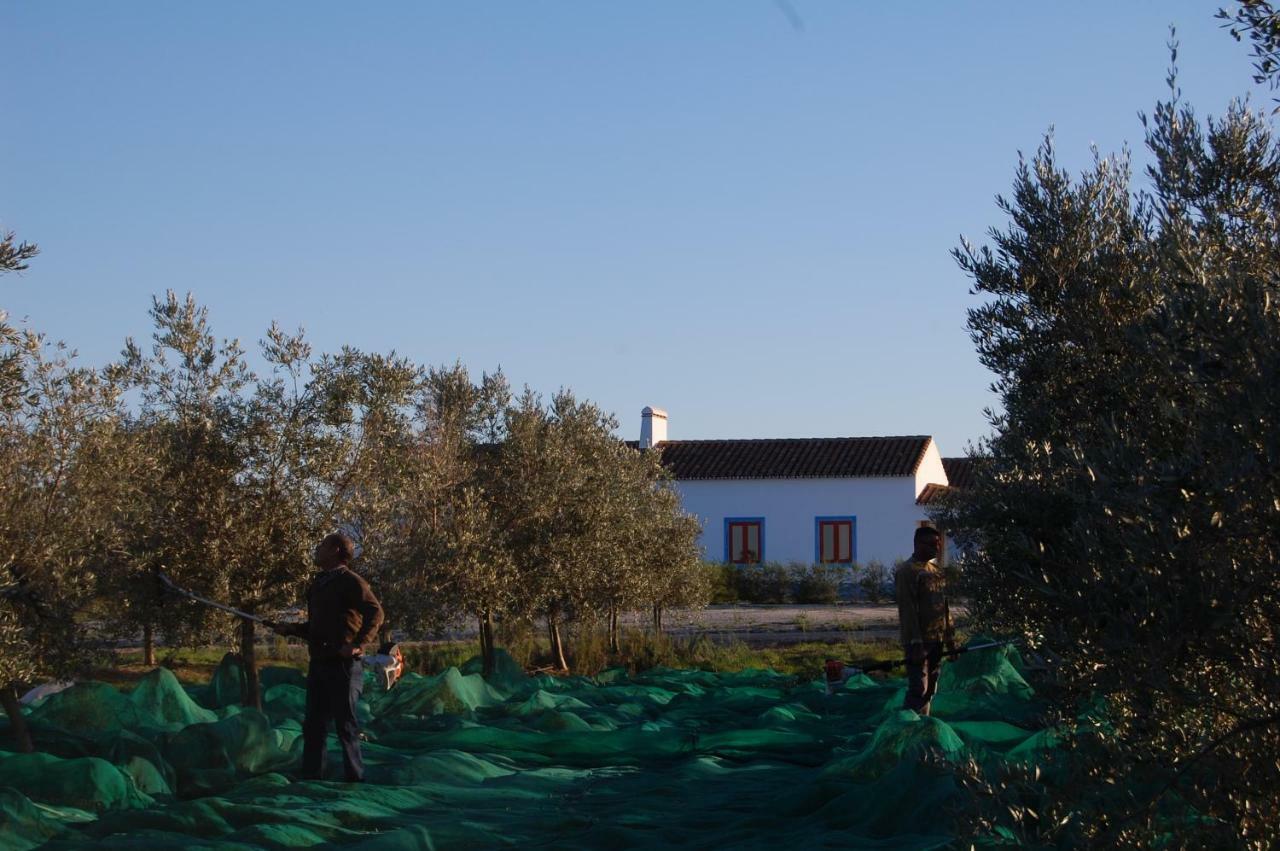 Herdade Da Burquilheira Family Retreat Alcáçovas Buitenkant foto